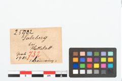 Etikett zu Gagatring (NHMW-PRAE-025902)